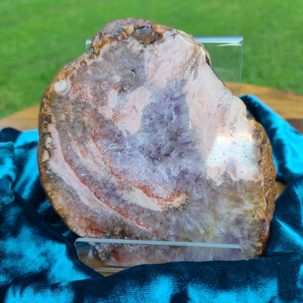 Flower Agate Slab – Growth, Healing & Inspiration